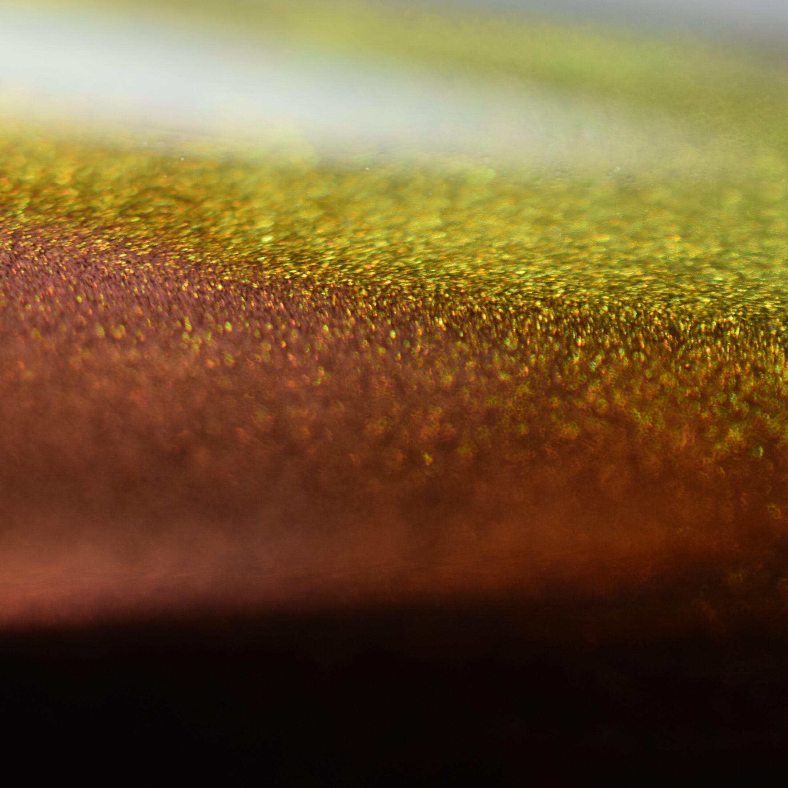 Obsidian Multichrome Nail Polish - Image 24